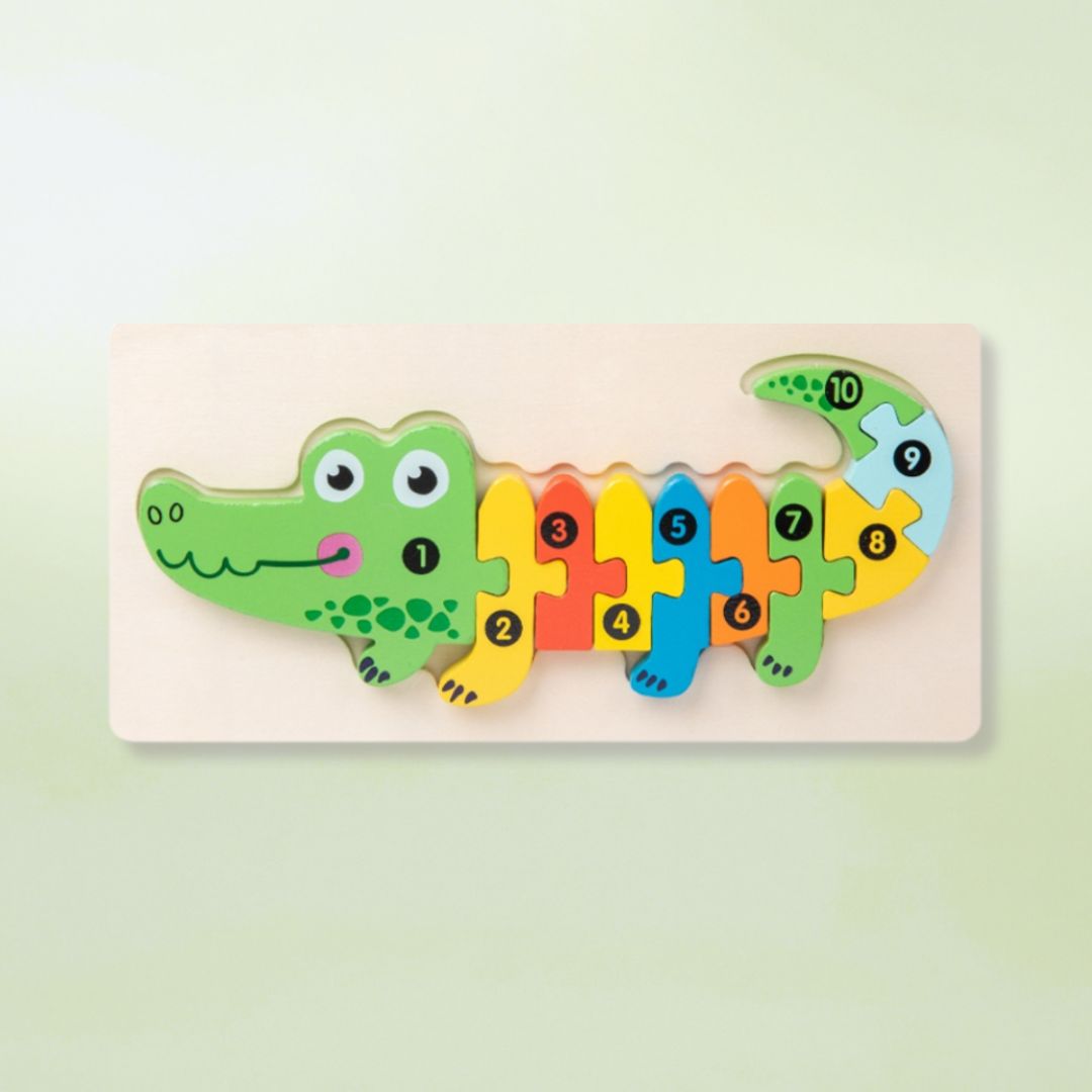 Montessori Wooden Puzzle