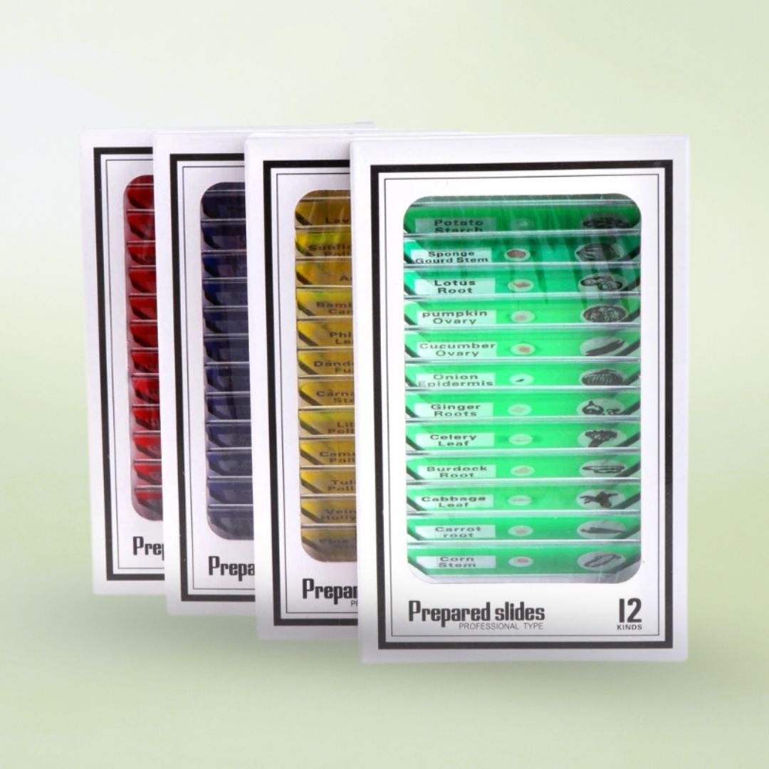 Microscope Slide Set