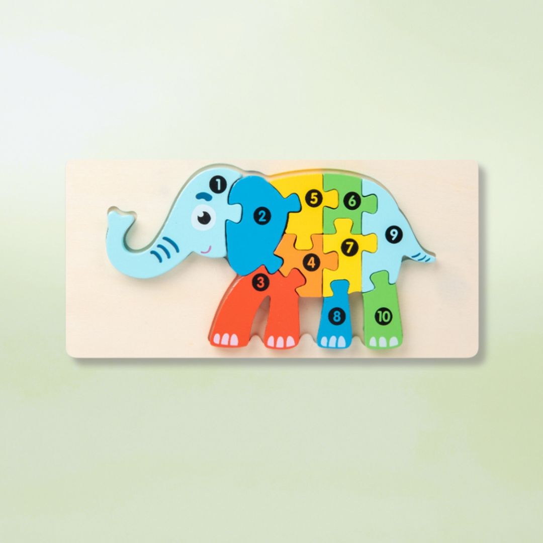 Montessori Wooden Puzzle