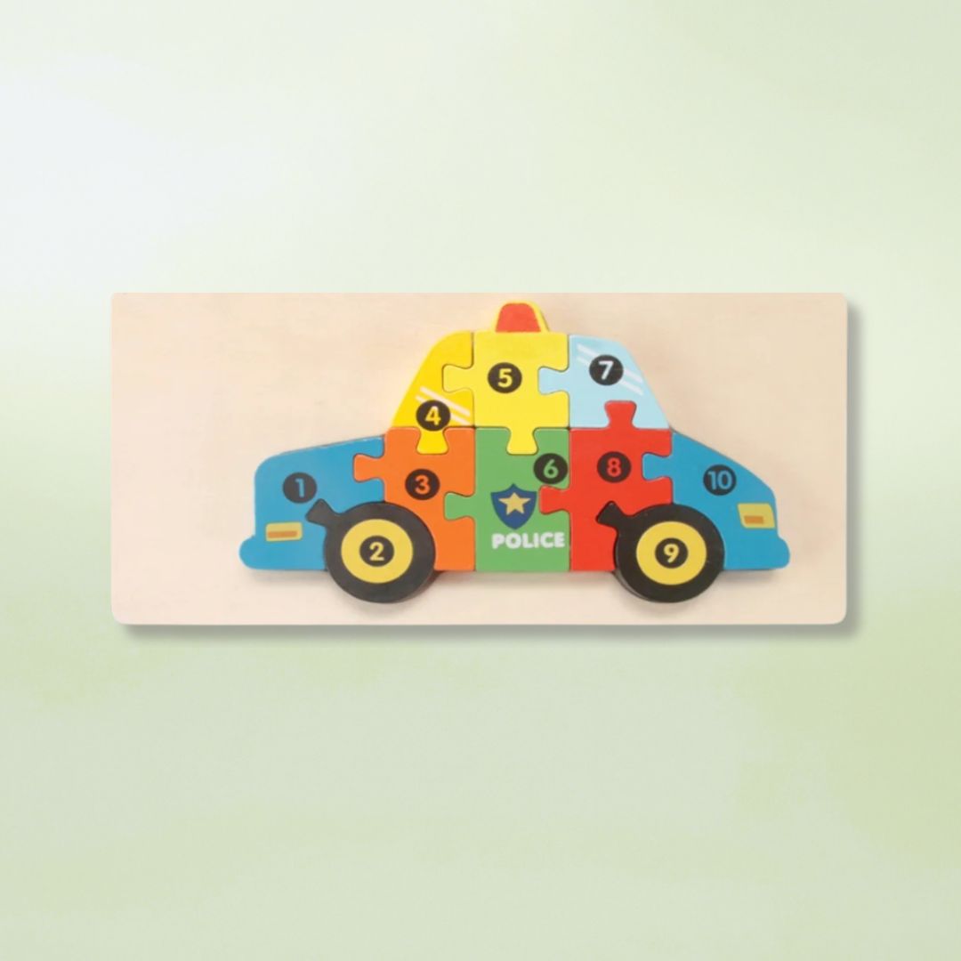 Montessori Wooden Puzzle