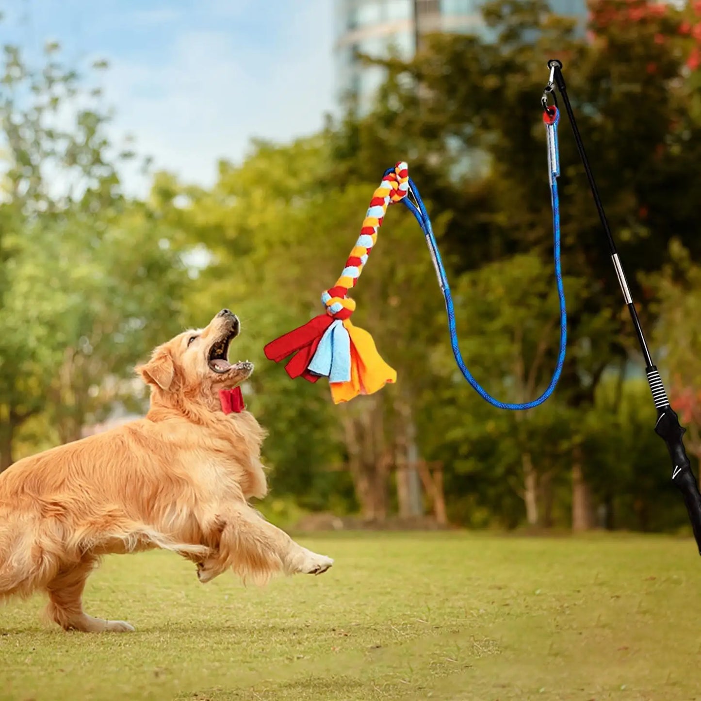 Outdoor Tether Tug Toy for All Dogs