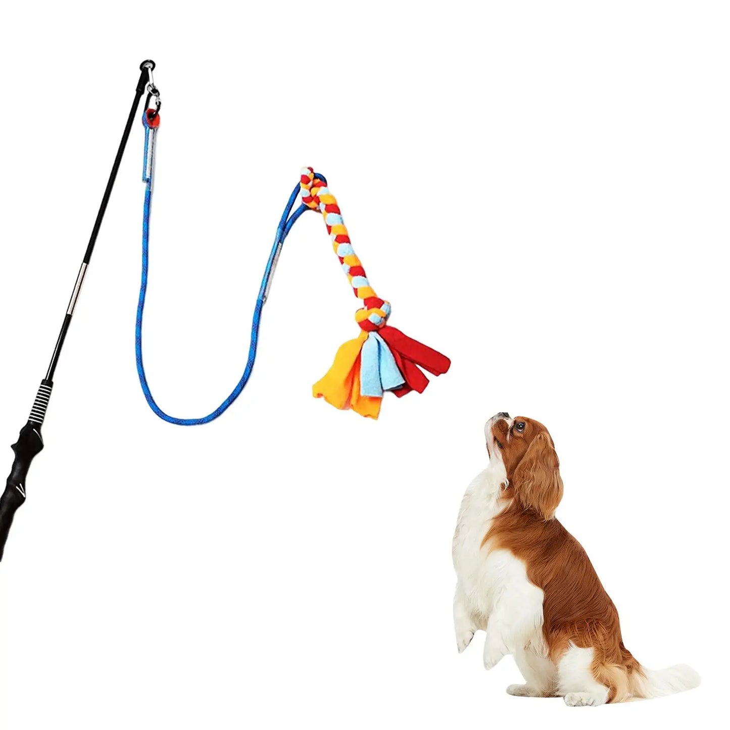Outdoor Tether Tug Toy for All Dogs
