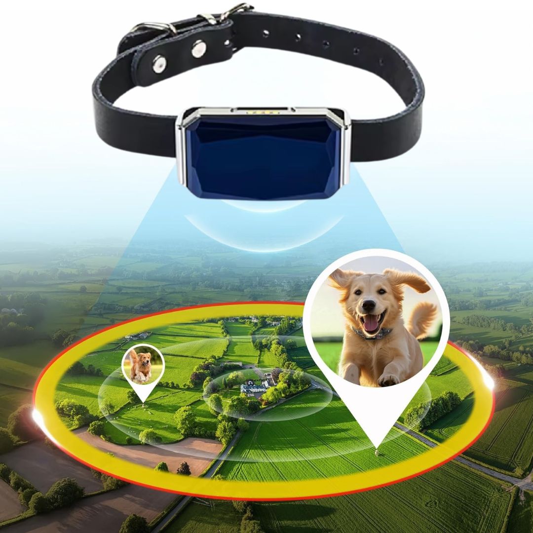 Say Goodbye to Failed Fences, Airtags, and Anxiety