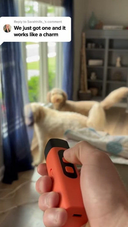 Anti Barking Device Share Reviews