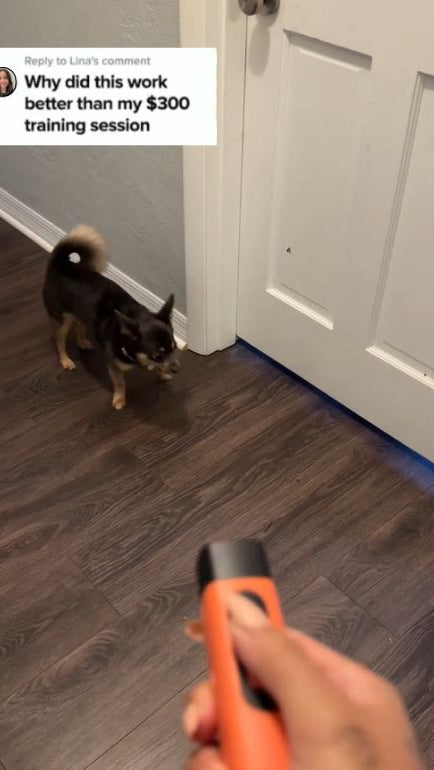 Anti Barking Device User Opinion