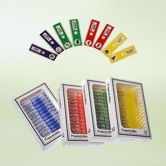 Microscope Slide Set