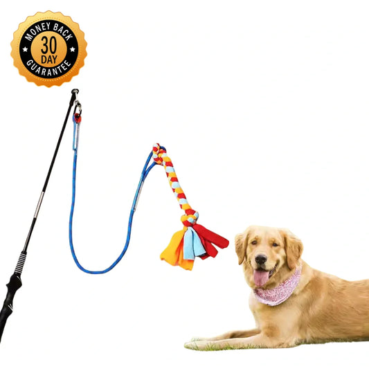 Outdoor Tether Tug Toy for All Dogs